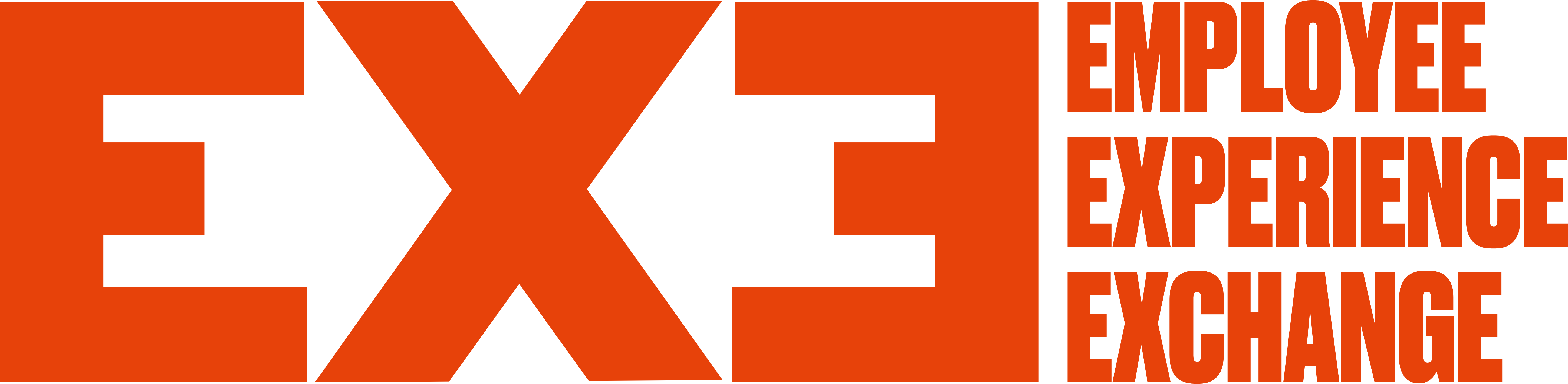 EXE logo